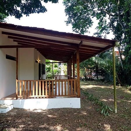 Villa Green Papaya à Puerto Viejo de Talamanca Extérieur photo