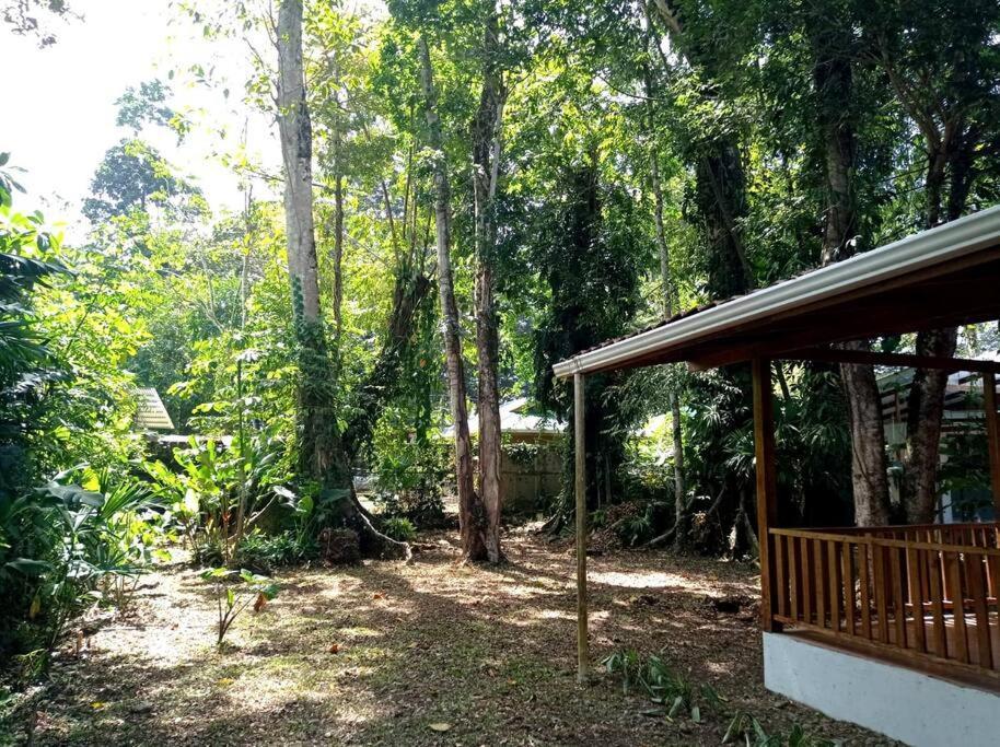 Villa Green Papaya à Puerto Viejo de Talamanca Extérieur photo