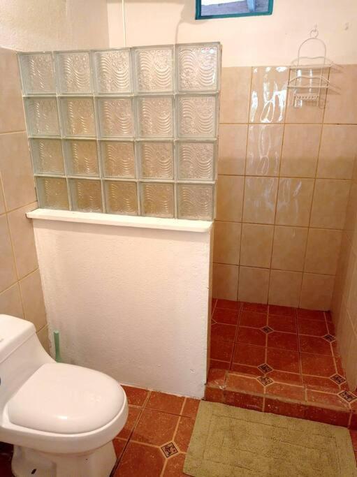 Villa Green Papaya à Puerto Viejo de Talamanca Extérieur photo