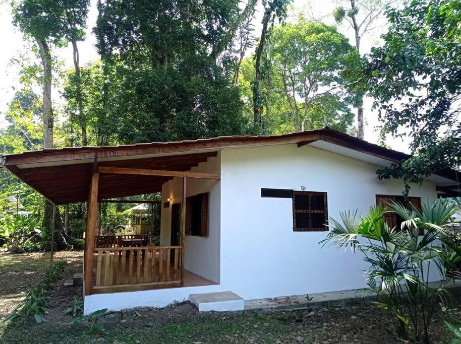 Villa Green Papaya à Puerto Viejo de Talamanca Extérieur photo