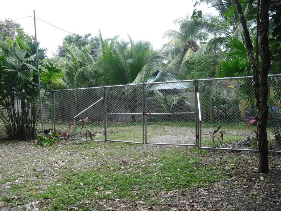 Villa Green Papaya à Puerto Viejo de Talamanca Extérieur photo