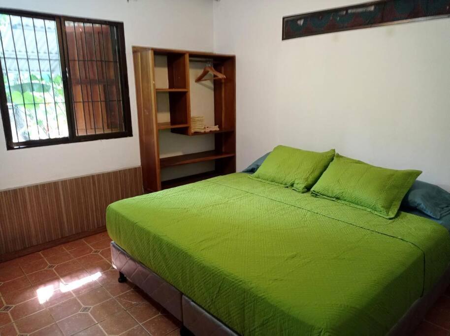 Villa Green Papaya à Puerto Viejo de Talamanca Extérieur photo