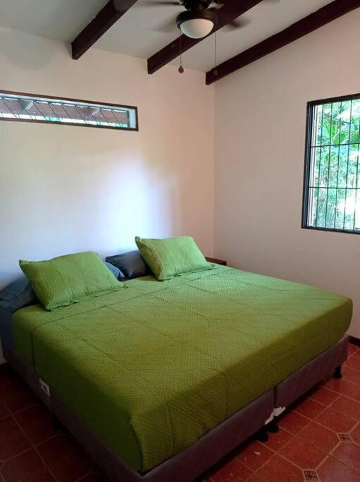 Villa Green Papaya à Puerto Viejo de Talamanca Extérieur photo